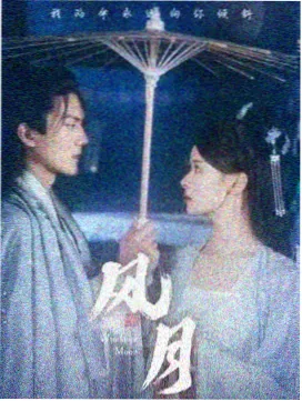 剧集雾港档案片单封面